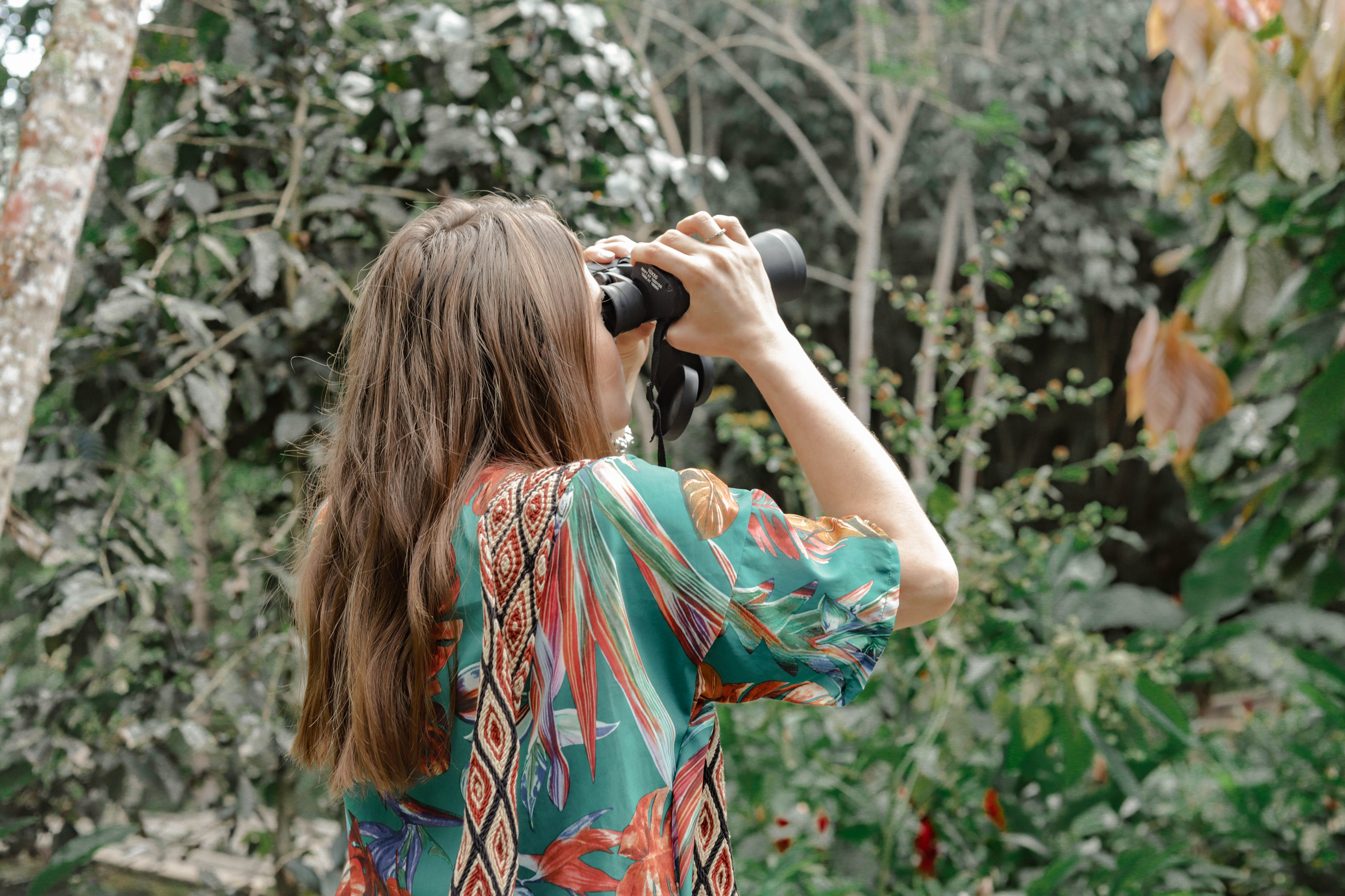 Activities in nature