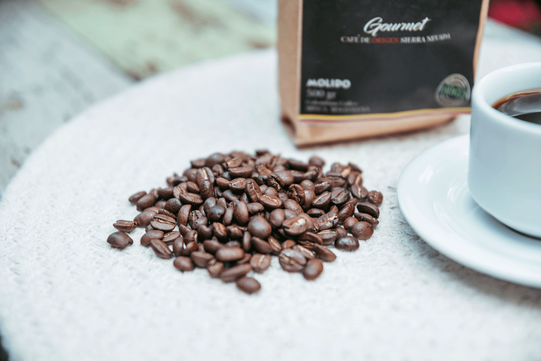 Coffee plantation